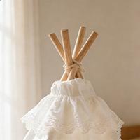 Tente tipi élégante en dentelle avec poteaux en bois, style bohème de luxe, lit pour chat et chien d'intérieur pour petits animaux