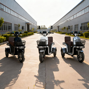 Triciclo de 3 Ruedas con Marco de Acero y 3 Velocidades, el Más Popular para Adultos, Carrocería Abierta, Batería de Plomo-Ácido de 500W - Product Image 2