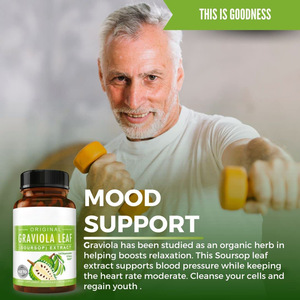 Extracto de Hoja de Guayaba (Graviola) Natural, Suplemento Energético para Adultos, Cápsulas de Pullulan para el Bienestar Diario - Product Image 3