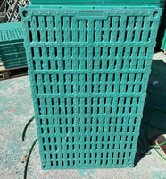 Plancher à lattes en PP haute résistance Zhongxing, résistant à la corrosion, facile à nettoyer, équipement pour élevages porcins, taille personnalisée disponible