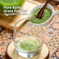 Poudre d'herbe d'orge biologique, extrait liquide-solide, qualité alimentaire, 99% de polyphénols et vitamines purs