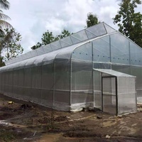 Serre hydroponique tropicale à arche gothique, tunnel haut, à dents de scie, pour la culture de tomates