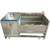 Groente-En Fruitcassave-Wasmachine/Dunschiller Aardappelgemberschilmachine Met Plc-Pompmotor Motorkerncomponenten