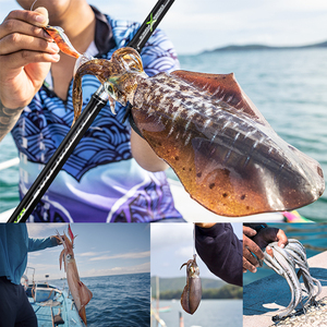 Удочка для кальмаров, 2,29 м, 2,52 м - Product Image 6