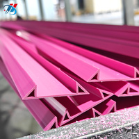 Perfil de extrusión de PVC profesional personalizado para estructuras de construcción, puertas de congelador y refrigerador.