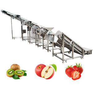 Joyshine Op Maat Gemaakte Emmerliftliftapparatuur Voor Groenten-En Fruitproductielijn Voor Emmertransportband - Product Image 1