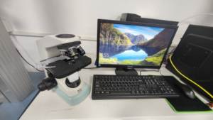 FZ/T SN/T AATCC 20A Tecido Não Tecido Quantitativo Analyzer Fibra Finura Análise Máquina De Teste - Product Image 3