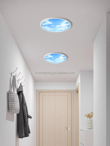 Lumin 400 直径蓝光治疗圆形面板 模拟日光圆环云天灯 人体中心圆形LED天顶灯 - Product Image 6