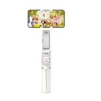Mini trépied perche à selfie A10 avec lumière LED, support de téléphone extensible, stabilisateur de caméra vidéo intelligent pour prise de vue