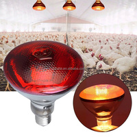 Nouvelle lampe chauffante infrarouge pour volailles, 220 V 250 W, pour élevage de poulets et de canards