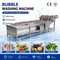 Laveuse Commerciale de Légumes et Fruits, Machine de Nettoyage de Poivre Noir pour l'Australie