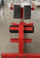 Chaise romaine professionnelle pour hyperextension, banc réglable de qualité commerciale pour l'entraînement des fessiers, des ischio-jambiers et du tronc