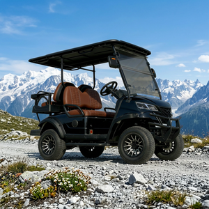 Voiturette de golf électrique pure BETETEK 2 places, pratique, facile à utiliser, conduite silencieuse, pour parcours de golf, manoir et routes privées - Product Image 1