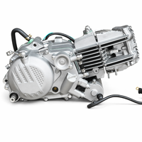 Moteur de moto Zongshen 190cc authentique W190, boîte manuelle 5 vitesses, embrayage à bain d'huile, démarrage électrique, moto tout-terrain, usine OEM