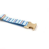 Laisse collier pour chien et chat personnalisée avec boucle rayée Accessoires de luxe en cuir pour animaux de compagnie avec éclairage