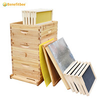 Ruche Langstroth à 3 couches, entièrement recouverte de cire, kit complet à vendre