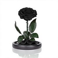 Roses noires préservées sous cloche en verre, fleurs préservées de taille moyenne en provenance de Chine, coffret cadeau pour femmes