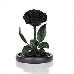 Roses noires préservées sous cloche en verre, fleurs préservées <span class=keywords><strong>de</strong></span> taille moyenne en provenance <span class=keywords><strong>de</strong></span> Chine, coffret cadeau pour femmes - Product Image 1