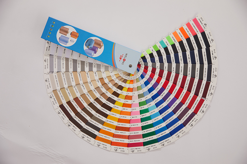 Cartella colori