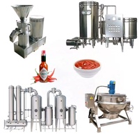 Complete op maat gemaakte groente- en fruitverwerkingslijn, tomaten sap/saus/pulp productiefabriek, Omate/tomat verwerkingsmachine