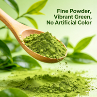 Poudre de Matcha Culinaire de Grade 2A à Marque Blanche Personnalisée 50g/Boîte Sans Additifs pour Latte, Pâtisserie et Desserts