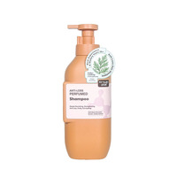 Shampooing et après-shampooing à l'huile de camélia, contrôle du sébum, anti-chute, Biota Orientalis, soins capillaires, OEM, marque privée, logo personnalisé, qualité salon, en vrac