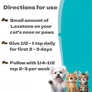 पालतू मल्टीविटामिन पोषण जेल मल्टीविटामिन पोषण आहार कुत्तों और बिल्लियों के लिए पालतू स्वास्थ्य देखभाल प्रतिरक्षा स्वास्थ्य का समर्थन करते हैं - Product Image 6