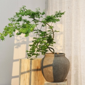 <span class=keywords><strong>Plante</strong></span> en pot simple, <span class=keywords><strong>grande</strong></span>, nordique, à feuilles <span class=keywords><strong>d</strong></span>'érable, pour intérieur et extérieur, verte, style artistique ancien, effet eau courante - Product Image 1