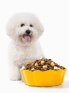 מזון יבש לחיות מחמד מייצרת הסיטונאי מטפל תזונה מדע בריא תזונה כלבים יבש למבוגרים מותג מותאם אישית מזון לכלבים - Product Image 4