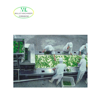 Fabriekslevering Walley merk aanpassing groenten fruit ui droogproductielijn complete automatische PLC pomp tandwiel