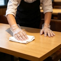 Gants en PE transparents, imperméables, pour la vaisselle, anti-huile, surface texturée givrée, gants jetables en TPE transparents pour le nettoyage