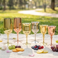 RTS RVS Champagnebeker Restaurantgoblet in verschillende kleuren voor buitengebruik