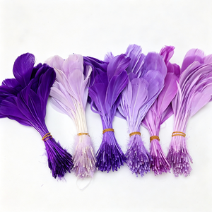 Plumas <span class=keywords><strong>de</strong></span> Ganso Decorativas para San Valentín y el Día <span class=keywords><strong>de</strong></span> la Madre, Decoración Ambiental, Fabricación <span class=keywords><strong>de</strong></span> Joyería, Accesorio <span class=keywords><strong>de</strong></span> Estilo Bohemio - Product Image 1