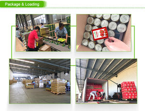 고품질 도매 통조림 토마토 페이스트 가격 - Product Image 6