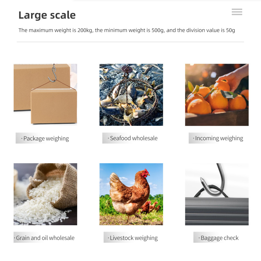 digital weight hook minimum maximum Flexzion Luggage Scale, Baggage Scale, 110 Lb (50 Kg) with 10g Deviation, Portable Handheld Suitcase Weight Scale with for Travel, Fish Weighing, Black : Clothing, Shoes & Jewelry Weigh your catch with ease using EEEkits fishing scale Portable Fishing Scale, EEEkit 110lb