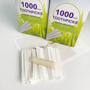 Palito de dente com sabor de hortelã descartável de produto de fábrica de palito de dente de alta qualidade