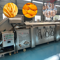 Automatische transportband friteuse voor diepvriesfrieten & aardappelchips