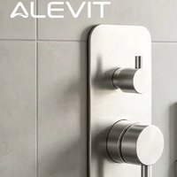 Robinet de douche encastré mural en acier inoxydable brossé avec inverseur, mitigeur de douche 2 voies encastré certifié Watermark, OEM