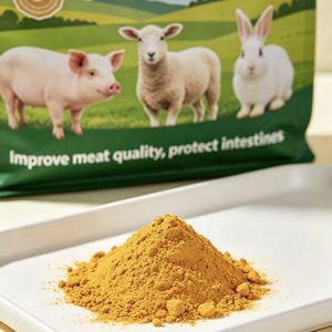 <span class=keywords><strong>Vente</strong></span> directe usine d'aliments pour animaux, de poudre de citrouille et d'additifs quotidiens pour l'élevage du bétail et de la volaille, pour favoriser la santé - Product Image 1