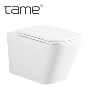 Tmttt3037 בסגנון אירופאי מלבני קרמיקה מרובעת חתיכה אחת קיר תלוי שירותים עבור חדר אמבטיה מלון - Product Image 1