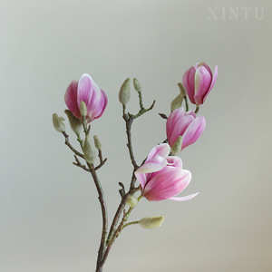 Y-H006 di alta qualità 3D lattice tocco reale <span class=keywords><strong>Magnolia</strong></span> artificiale ramo di fiori per la decorazione domestica di nozze - Product Image 3