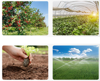 Capteur d'humidité et de conductivité électrique du sol Dragino SE01-LB LoRaWAN pour l'agriculture intelligente