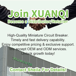 T2 385V/220V/275V 40KA-80KA Uc AC 2P 3P 4P Dispositivo de protección contra sobretensiones monofásico/trifásico Protector contra sobretensiones SPD - Product Image 6