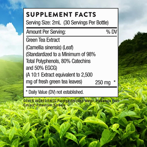 Extracto de Té Verde con Sabor a Piña en Gotas Líquidas OEM ODM con Catequinas y EGCG, Favorece la Digestión y la Energía, Suplemento Dietético - Product Image 2
