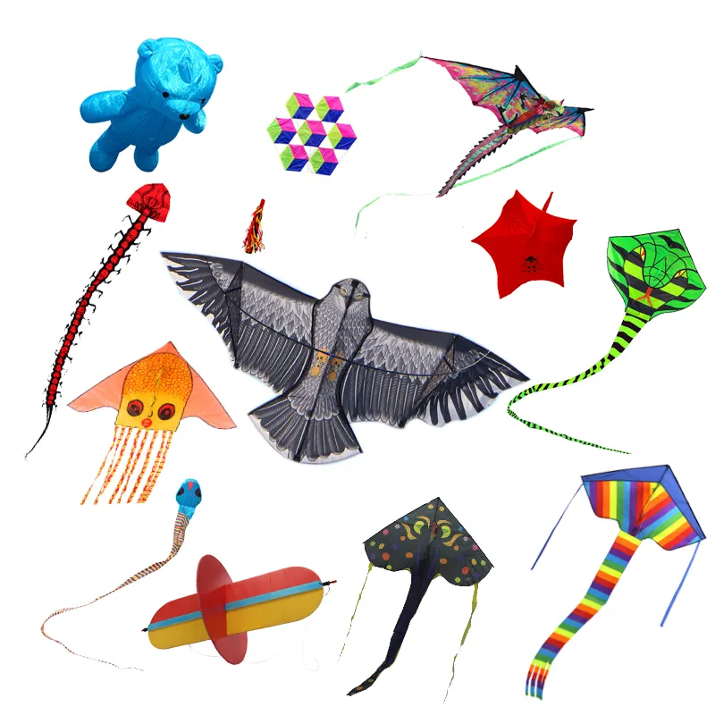 2020 hot selling kite flying for children cheap outdoor gift easy flying animal cometa sport fish kite from Weifang