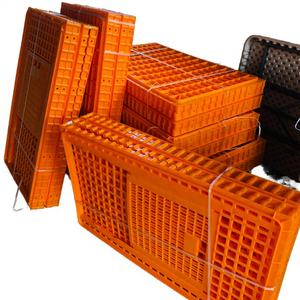 Yüksek Kaliteli Yeni Polipropilen Yetişkin Tavuk Taşıma Kafesi Kolay Kurulum Katlanabilir Tasarım Fabrika Doğrudan Satış Üreme - Product Image 4
