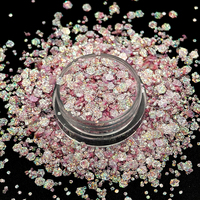 Paillettes holographiques en vrac, paillettes fines mélangées, poudre de paillettes, flocons de paillettes pour nail art, pour artisanat en résine DIY, décoration de gobelets et de festivals