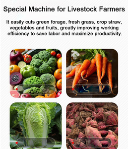 Broyeur alimentaire commercial haute performance et hachoir à fruits et légumes motorisé, broyeur de foin vert et de pommes de terre, machine à double usage - Product Image 6