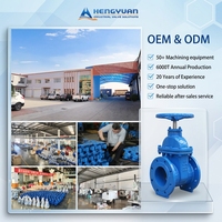Vanne de contrôle de pompe à eau multifonctionnelle personnalisée HY Factory 300X, vanne anti-retour à fermeture lente
