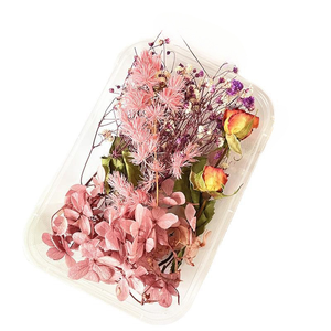 Conjunto de Plantas y Flores Secas Naturales para Velas de Aromaterapia, Manualidades con Resina y Fabricación de Joyería DIY - Product Image 5